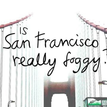 How bad is the fog in San Francisco? @sipbitego - sipbitego.comHow bad is the fog in San Francisco? @sipbitego - sipbitego.com
