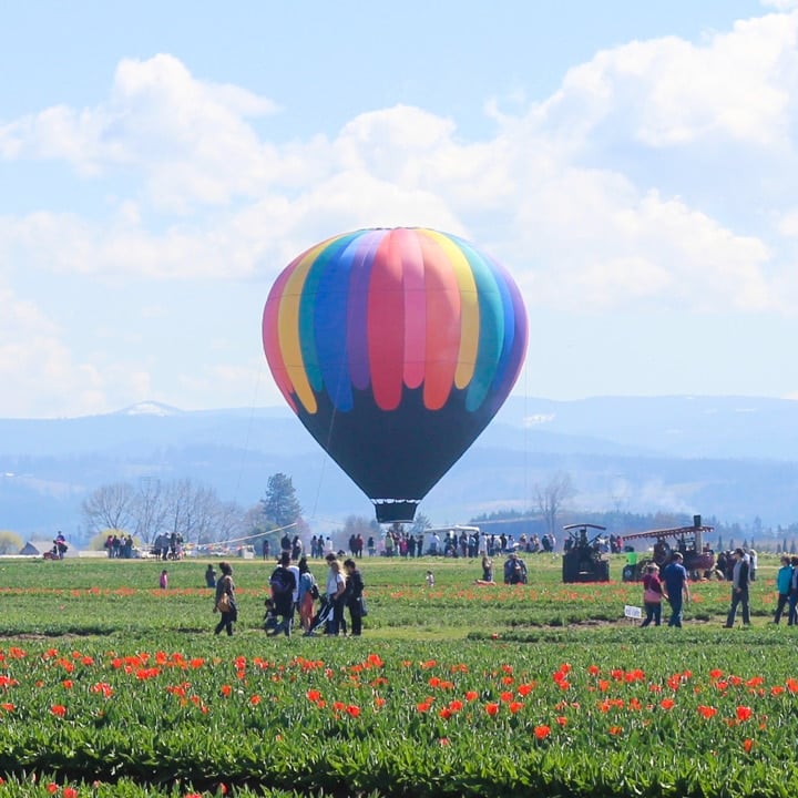 hot air balloon with a crowd at the wooden shoe tulip festival in oregon