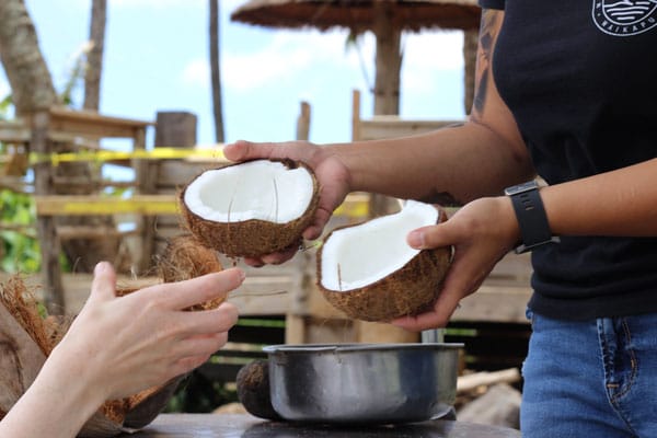 Maui Tropical Plantation Tropical Express Tour Coconut husking demonstration