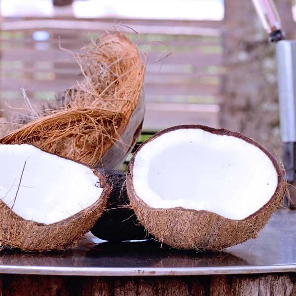 How to open a coconut step by step coconut husking demonstration