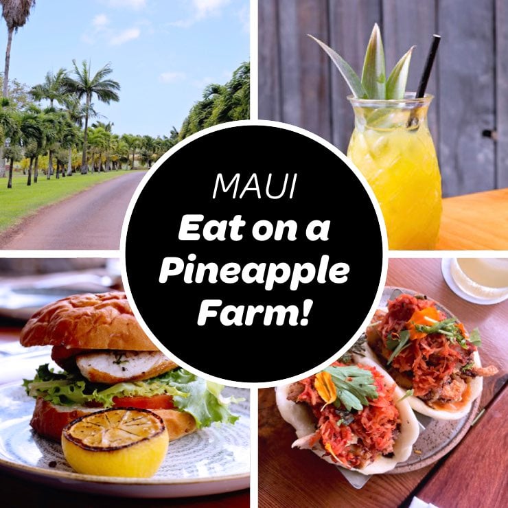 Maui Tropical Plantation  Tour, shop, explore and dine!