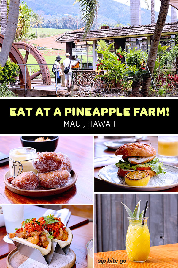 Top places to eat in Maui include the Maui Tropical Plantation. Take the Pineapple farm tour, then head to the Mill House for a delicious Hawaiian lunch! Located in Central Maui Hawaii, this is a must see Maui attraction. #maui #hawaii #pineapple #travel