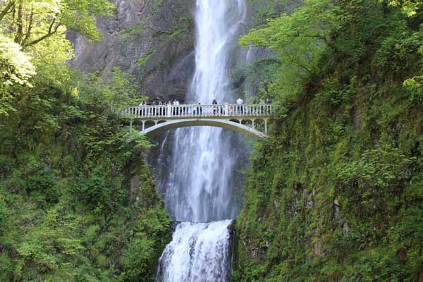 roadtrip in the fall in oregon to multnohmah falls