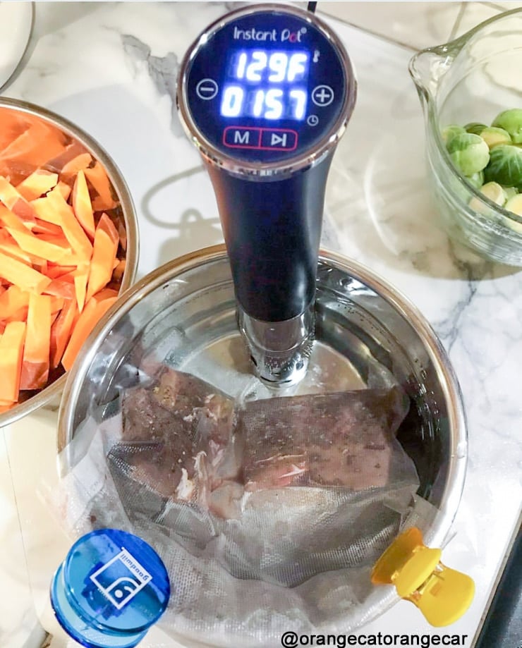 Instant Pot Sous Vide Machine & Immersion Circulator Purchasing Guide - Sip  Bite Go