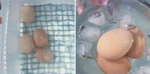 Soft-boiled eggs and egg cups – Food Science Institute