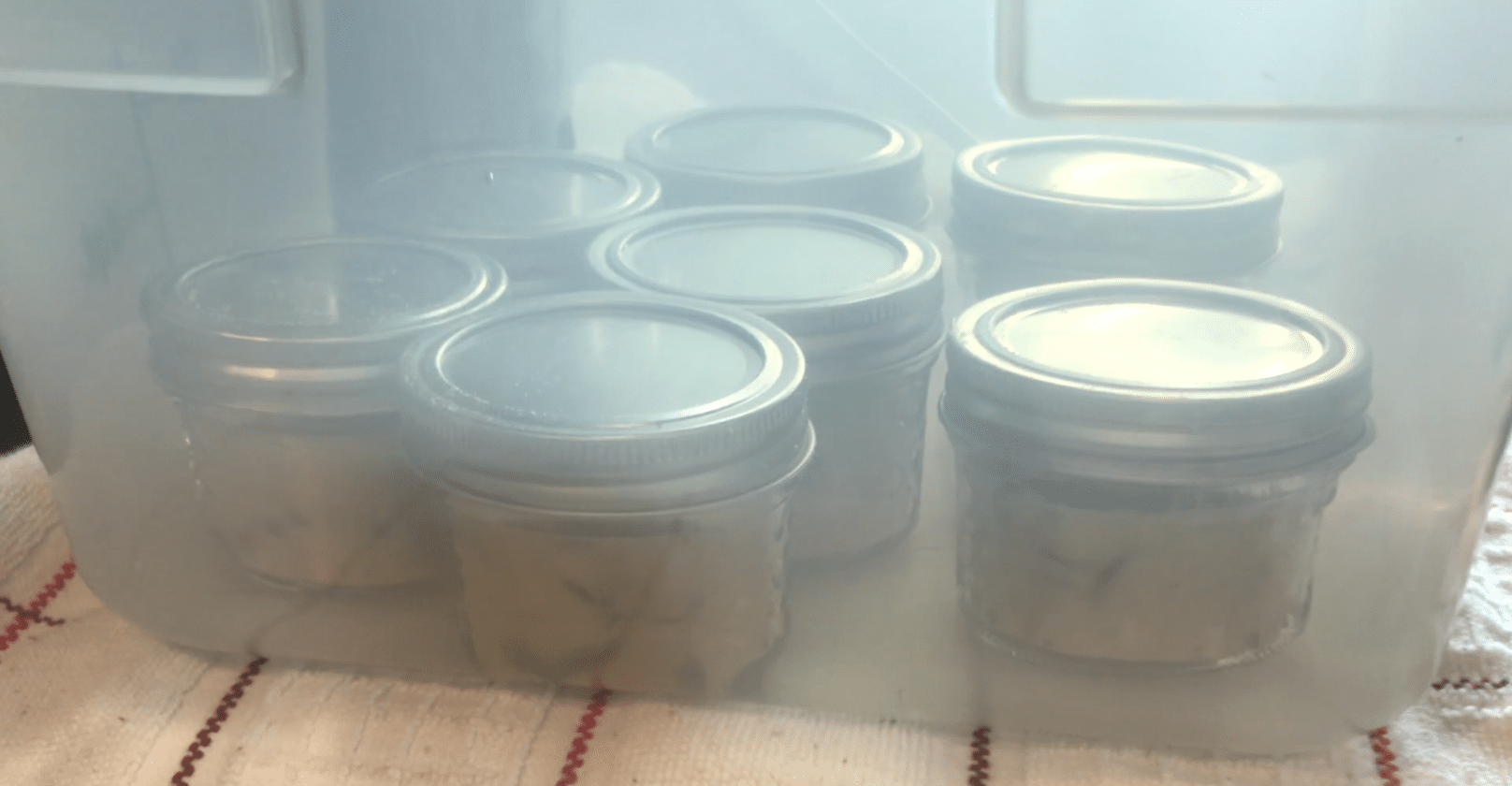 Sous Vide Egg Bites Instant Pot Recipe Using Mason Jars