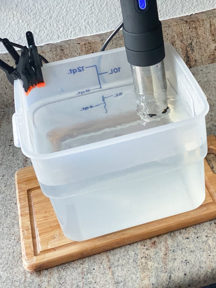 Professional Sous Vide Water Bath Buying Guide