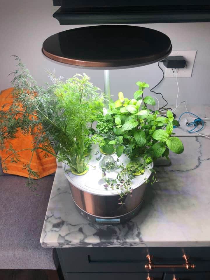 LED light for growing herbs indoors