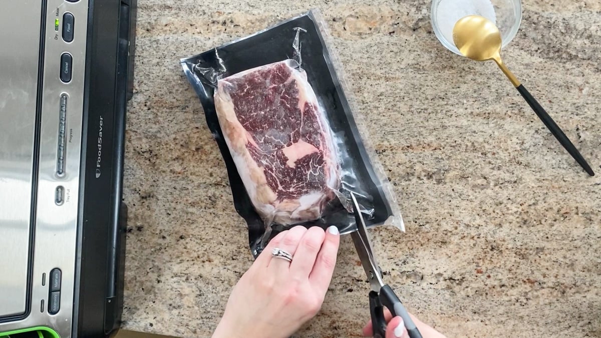 Can You Vacuum Seal Frozen Meat? Complete Guide to Store Meat - OutOfAir