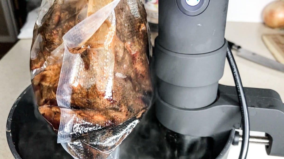 Ziploc VS Vacuum Sealed Bags For Sous Vide Cooking - Sip Bite Go