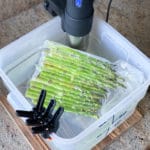 Demonstrating How To Sous Vide Asparagus