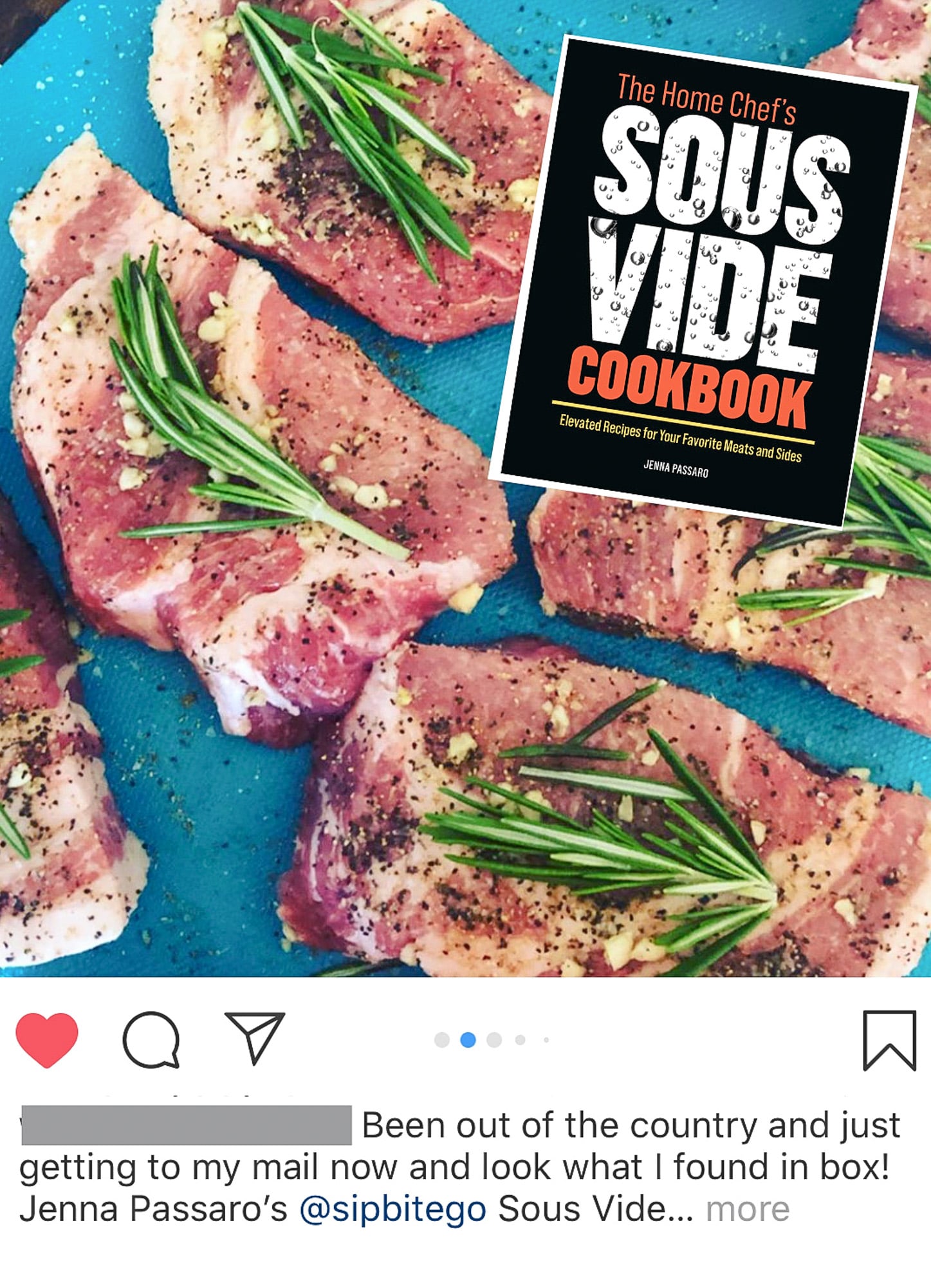 instagram post with sous vide pork and The Home Chef's Sous Vide Cookbook