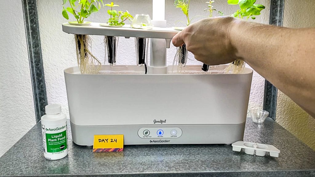Aerogarden hydroponic herb garden with seed pods and roots showing
