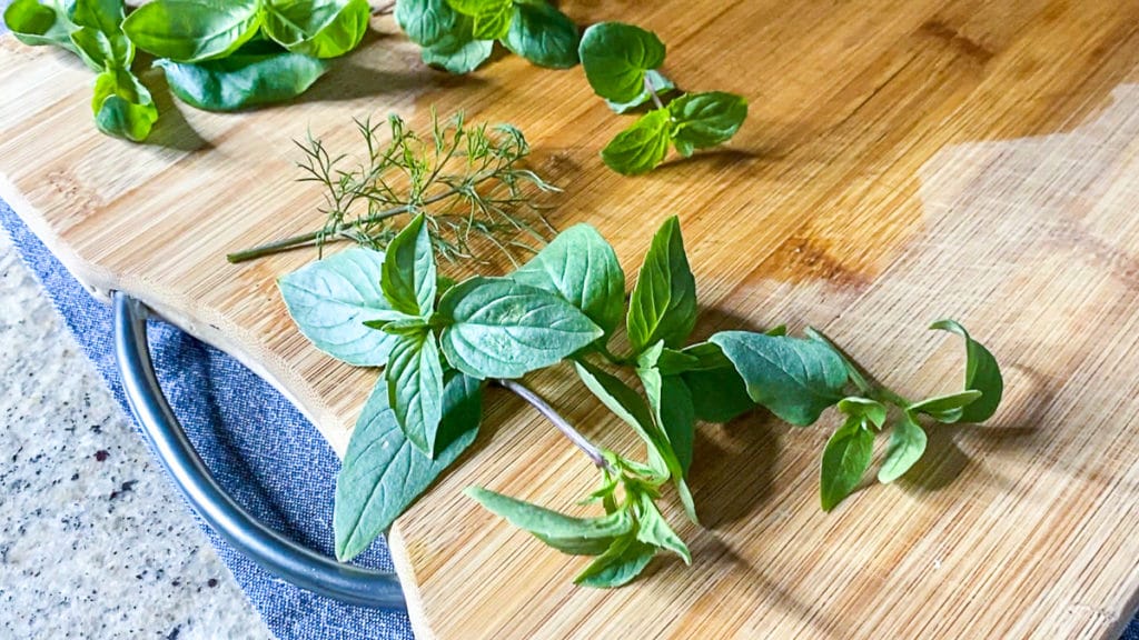 Aerogarden herbs for cooking