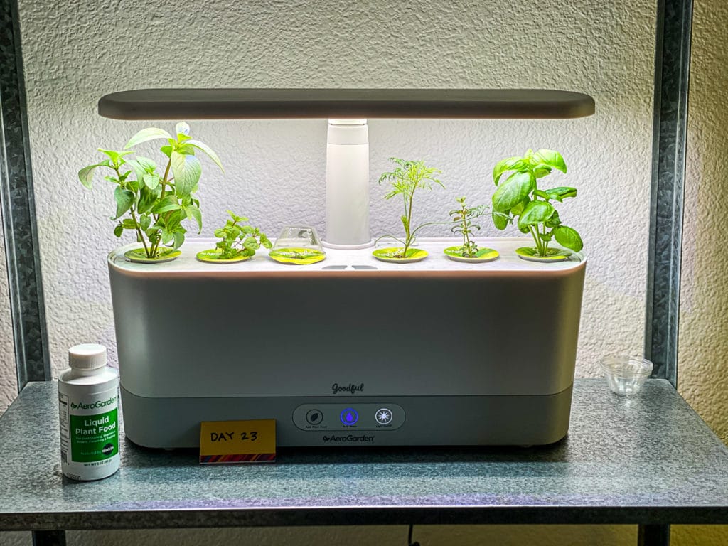 Aerogarden Herbs Touch the Light