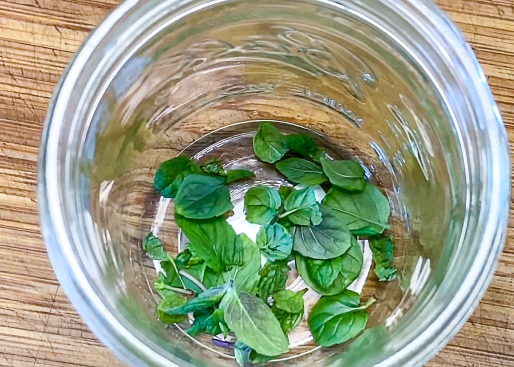 fresh Mint in a cocktail glass