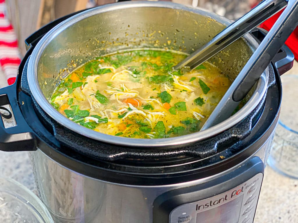 fresh Thyme in Instant Pot chicken noodle soup