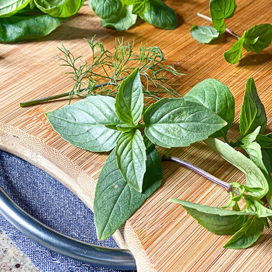 preparing fresh herbs for cooking feature