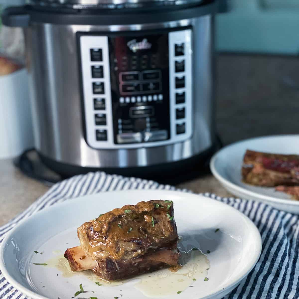 Fissler sous vide machine with beef short ribs sous vide style