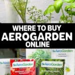 Where To Buy Aerogarden Online graphic with herb garden photos