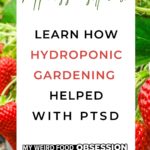 Title for episode of My Weird Food Obsession Podcast about hydroponic gardening to help with ptsd