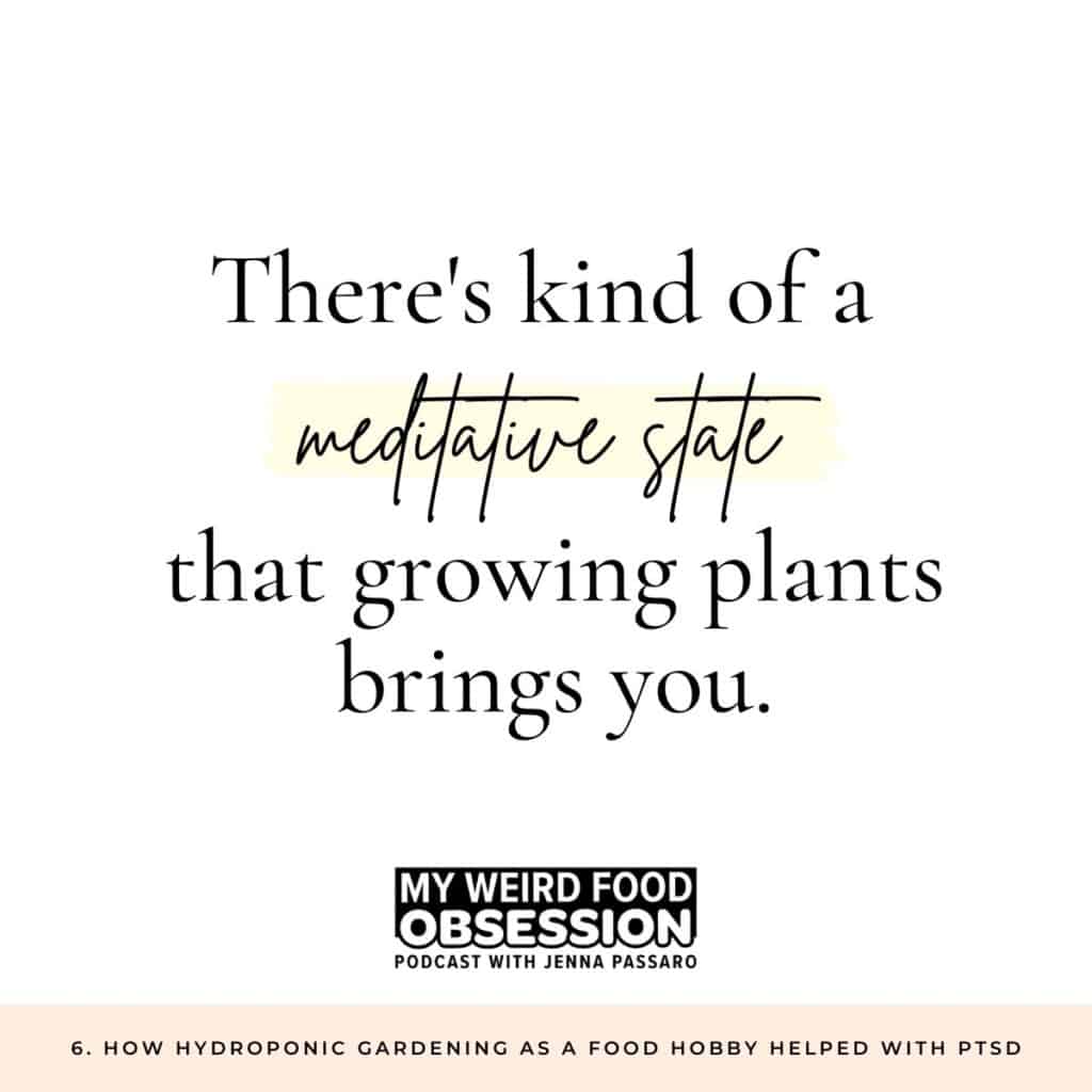 meditation and plants quote from my weird food hobby podcast