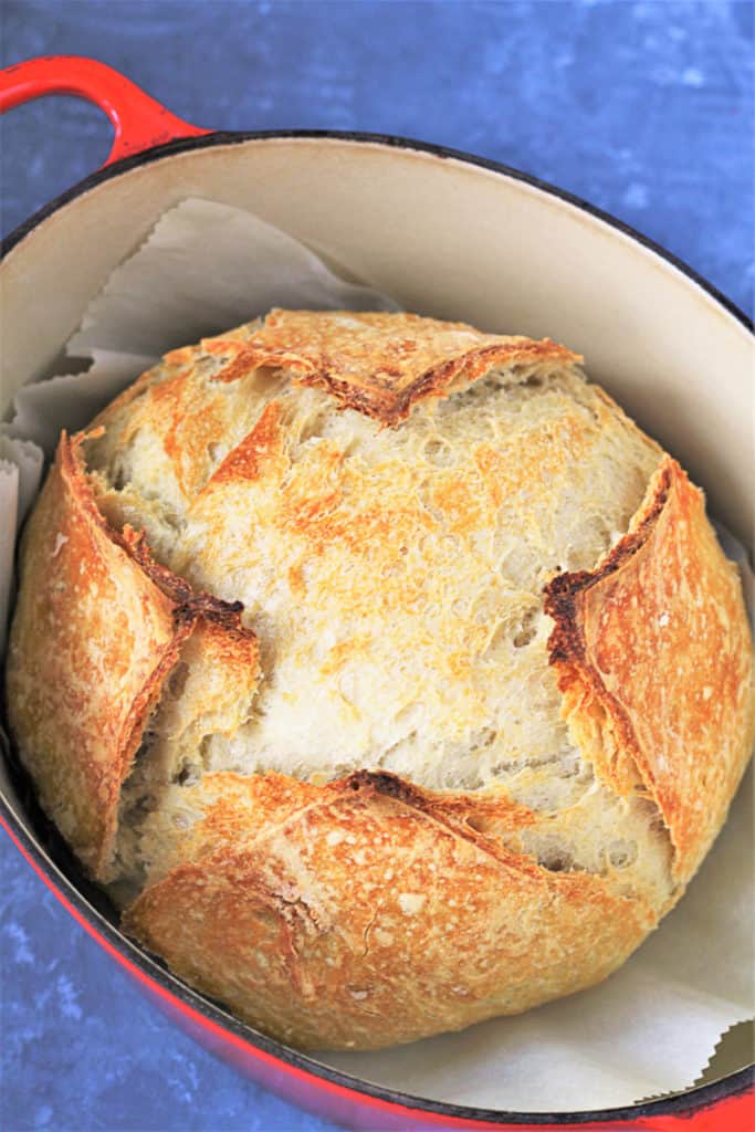 baked bread in dutch oven with parchment paper under the loaf