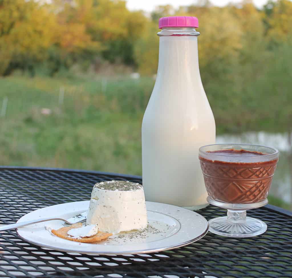 a table with a round of goat cheese on a plate with a spoon and cracker with a little of that cheese on the cracker. A jug of milk and chocolate dessert in a glass are behind the plate