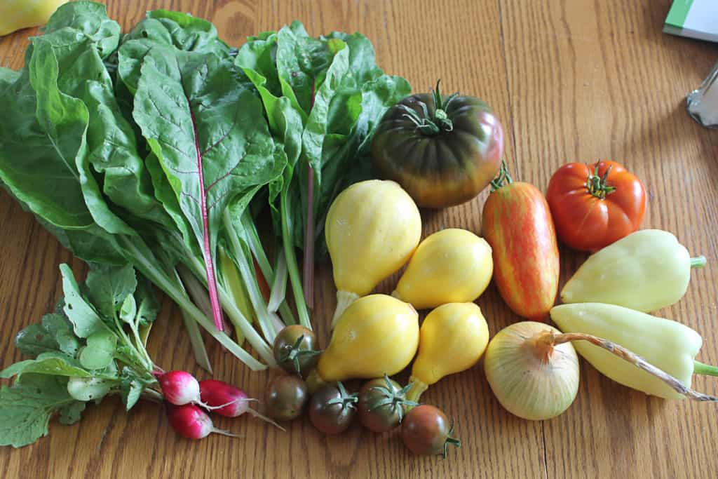 various vegetables posed on a table - raddishes, leafy greens, squash, tomatoes, peppers, onion