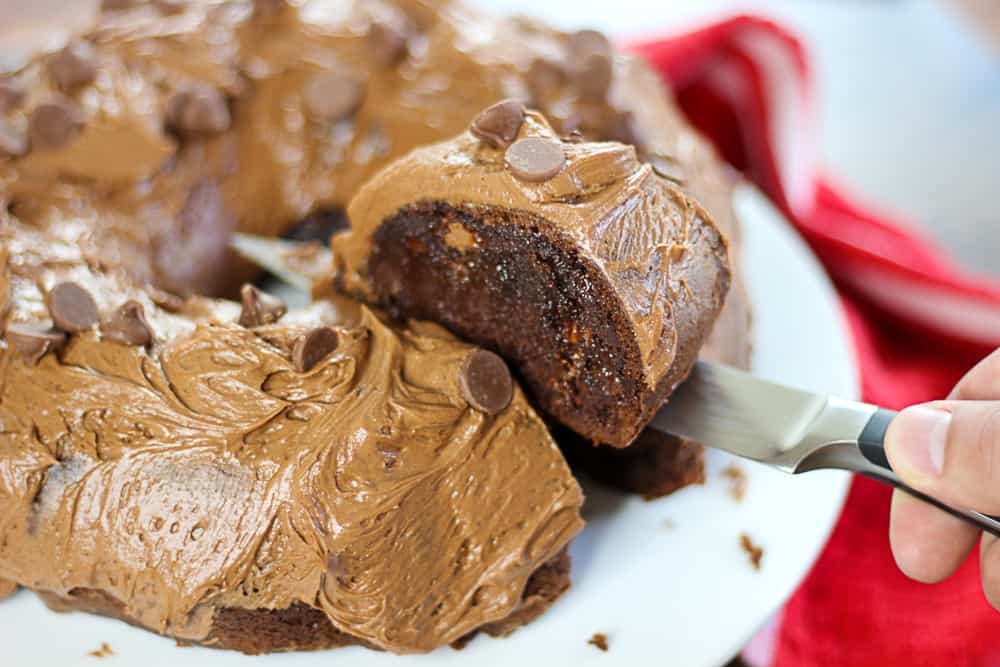 Side shot of chocolate chip cake being served.