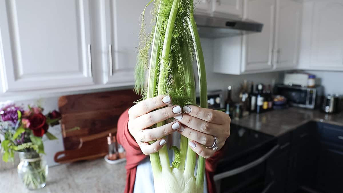 holding fall vegetable fennel