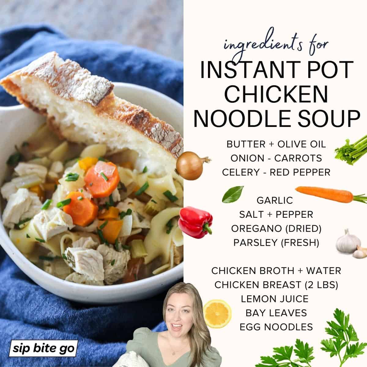 Infographic demonstrating ingredients for pressure cooker Instant Pot Chicken Noodle Soup Recipe