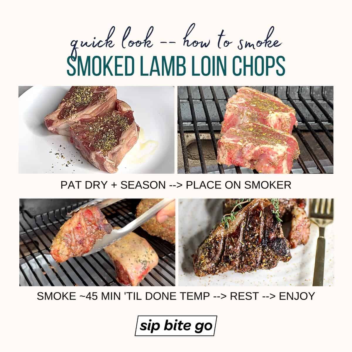 Infographic with steps to make Traeger smoked lamb loin chops recipe