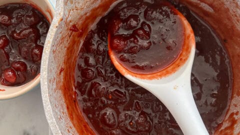 Recipe for Homemade Honey Cranberry BBQ Sauce
