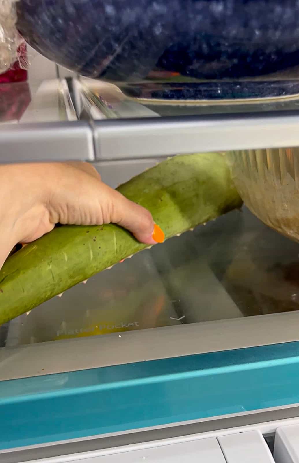 Chilling Aloe Vera Plant in Fridge to Treat Sunburn