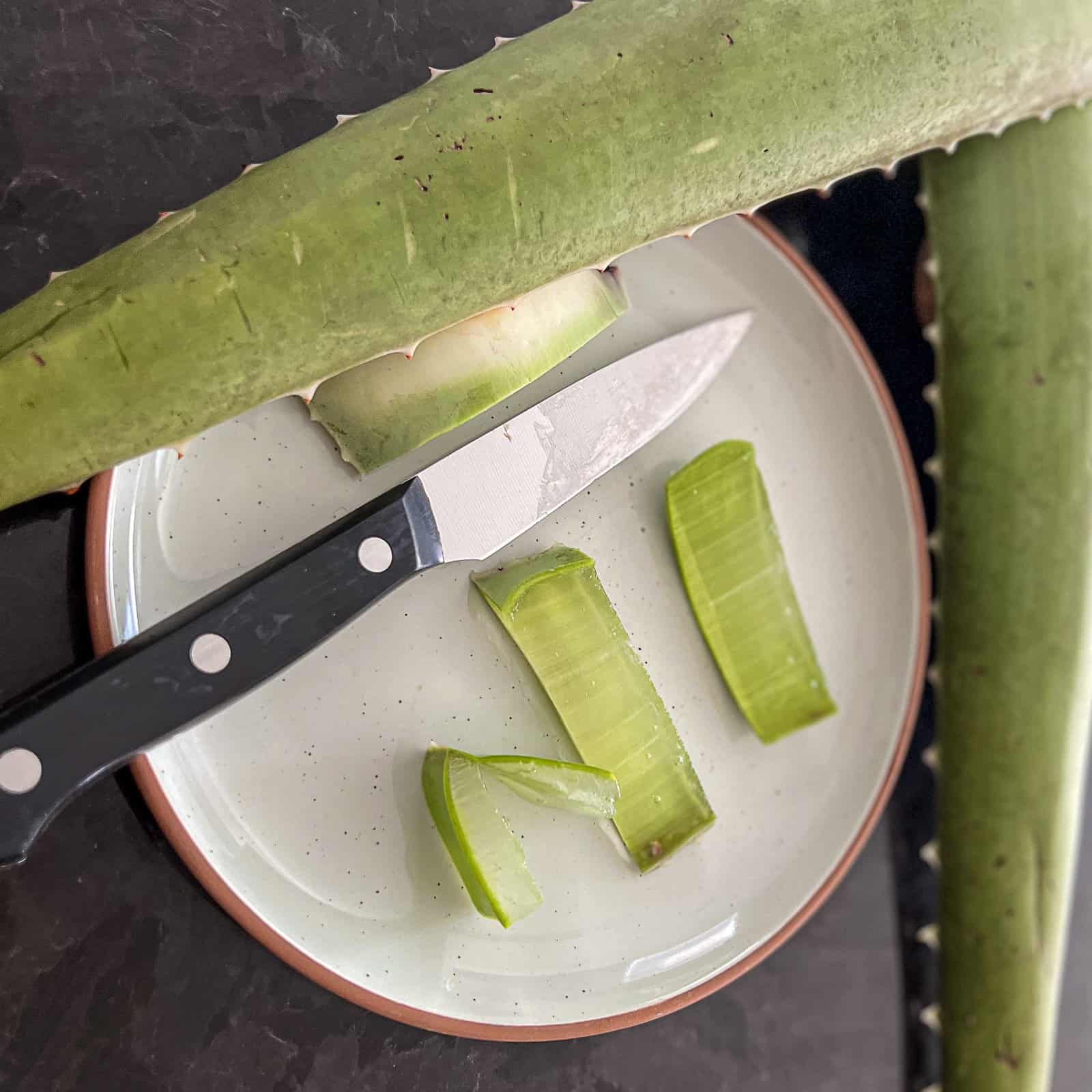 Cutting an Aloe Vera Plant For Sunburn Relief