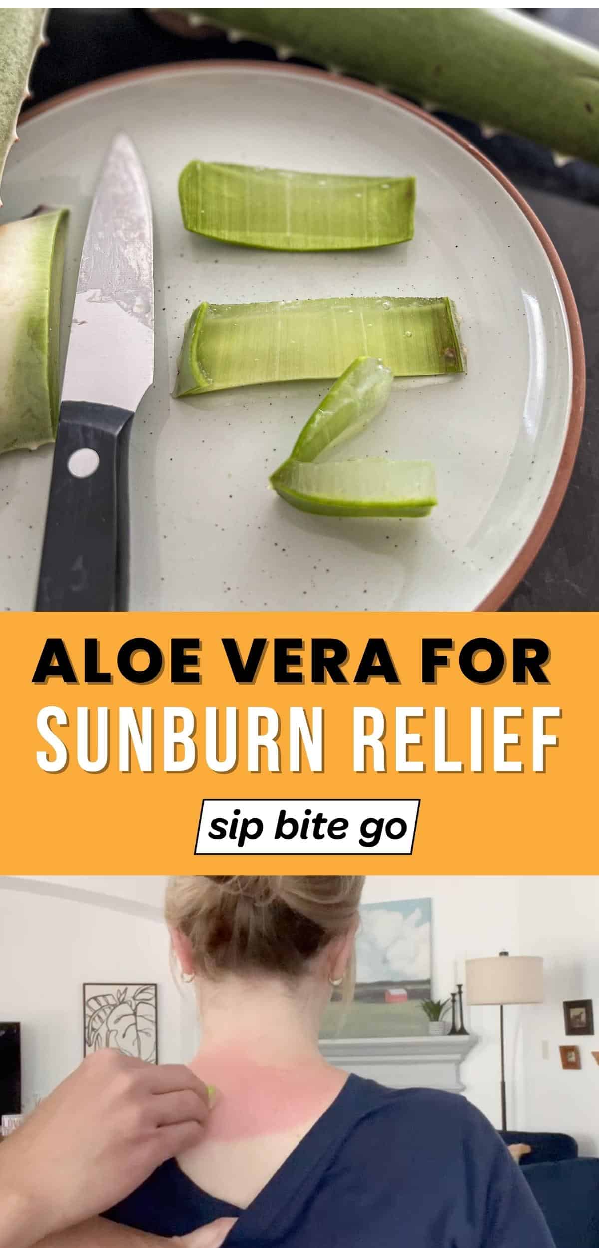 Demonstrating how to use aloe vera plant for sunscreen relief with text overlay and Sip Bite Go logo