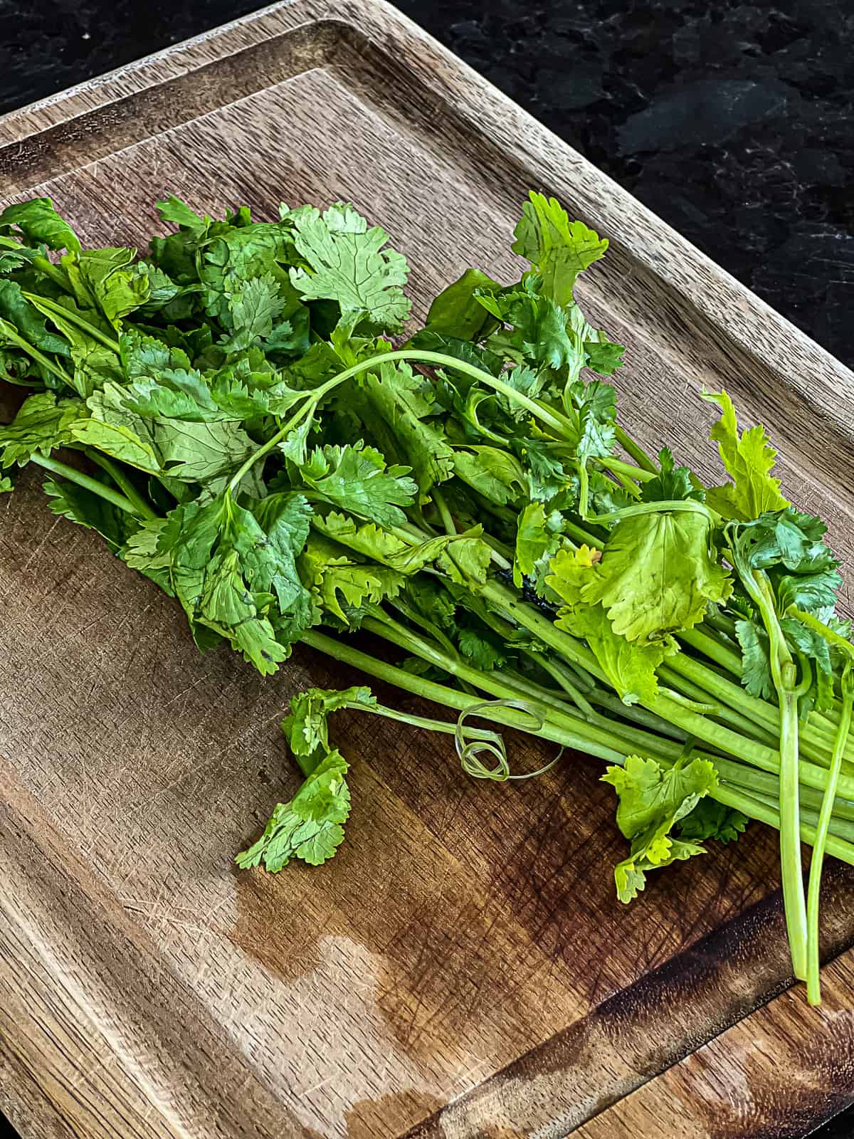 Fresh Cilantro On Butcher Block 