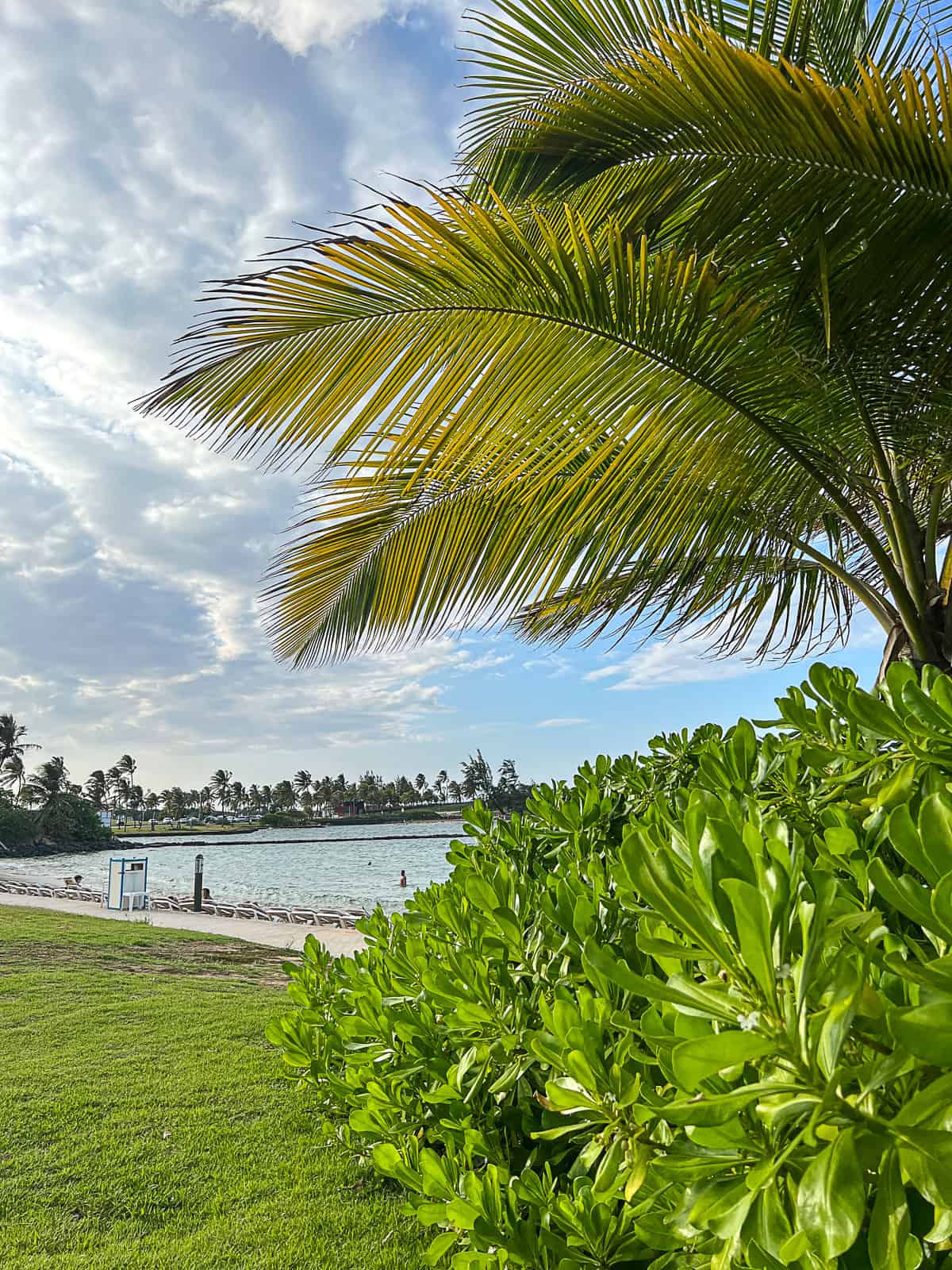 Beach Views at Caribe Hilton Puerto Rico Resort