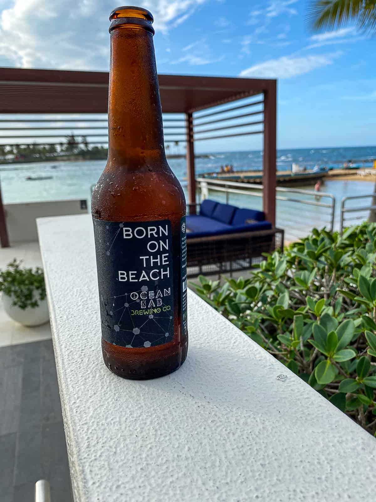 Beer by Pool Side Cabana and Bars at Caribe Hilton San Juan Puerto Rico