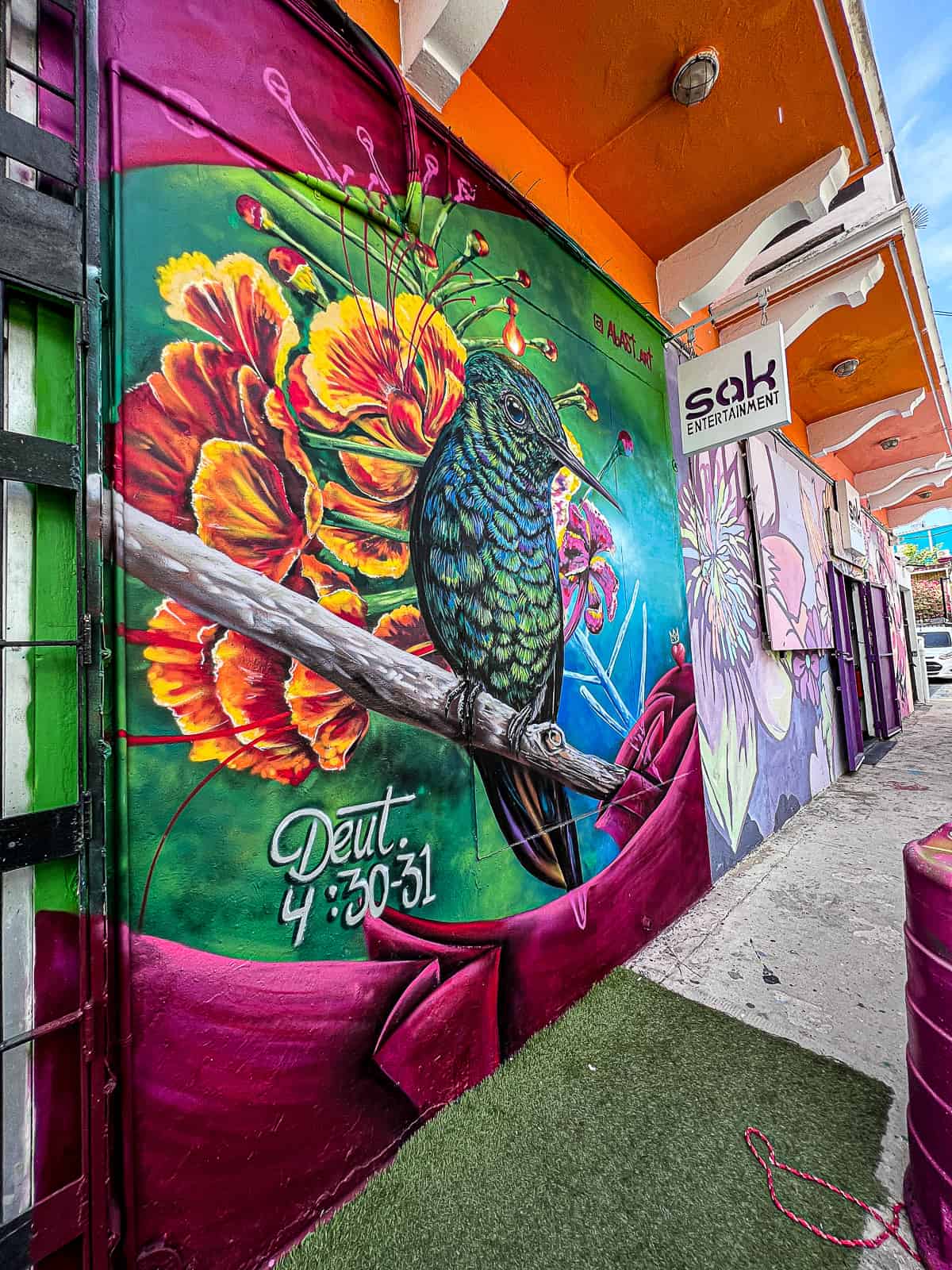 Bird Street Art in San Juan by Deut Artist in Puerto Rico