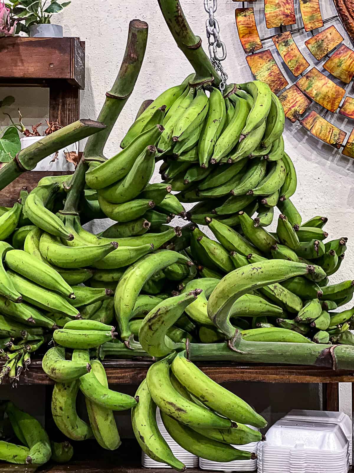 Fresh Plantains at Deaverdura in San Juan Puerto Rico