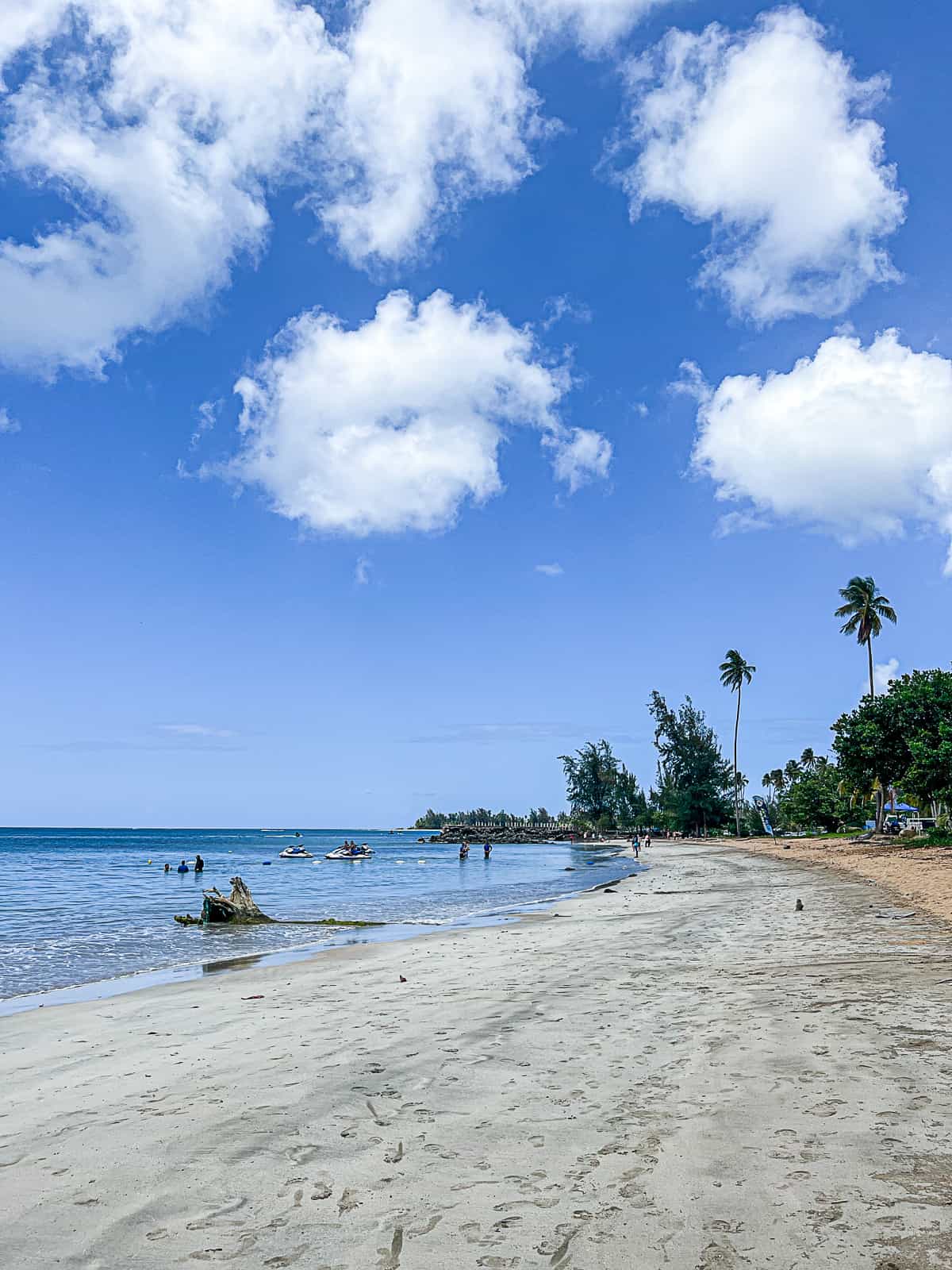 Playa Fortuna Beach Views With Palm Trees at Luquillo Puerto Rico