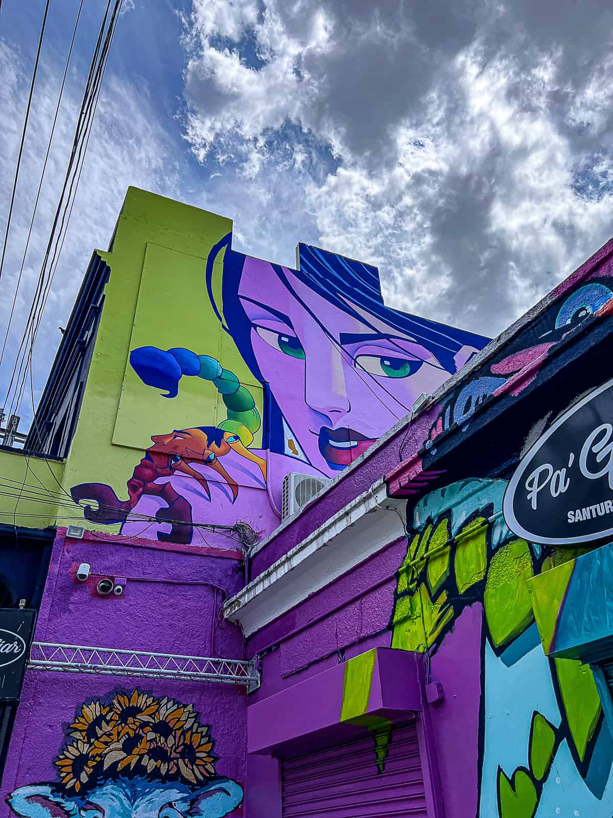 Santurce San Juan Street Art with Woman and Scorpian