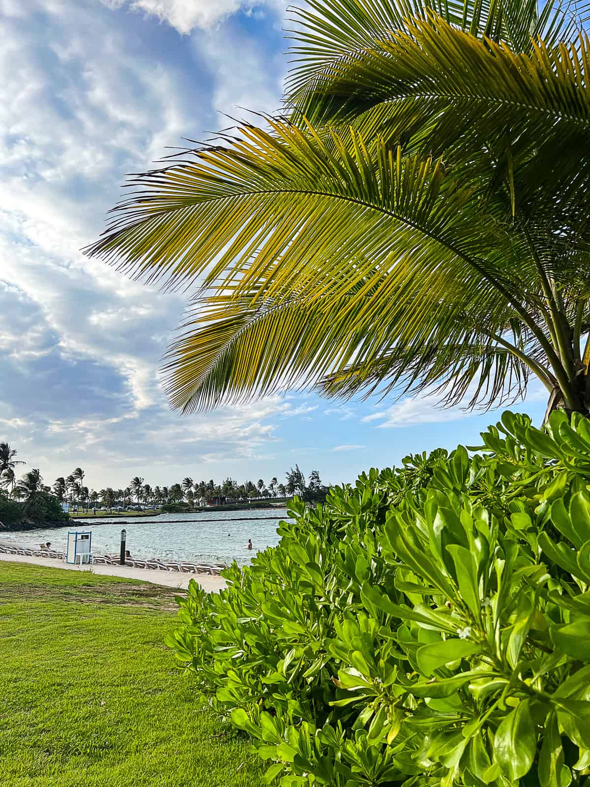 Puerto Rico Family Beach at Caribe Hilton Resort