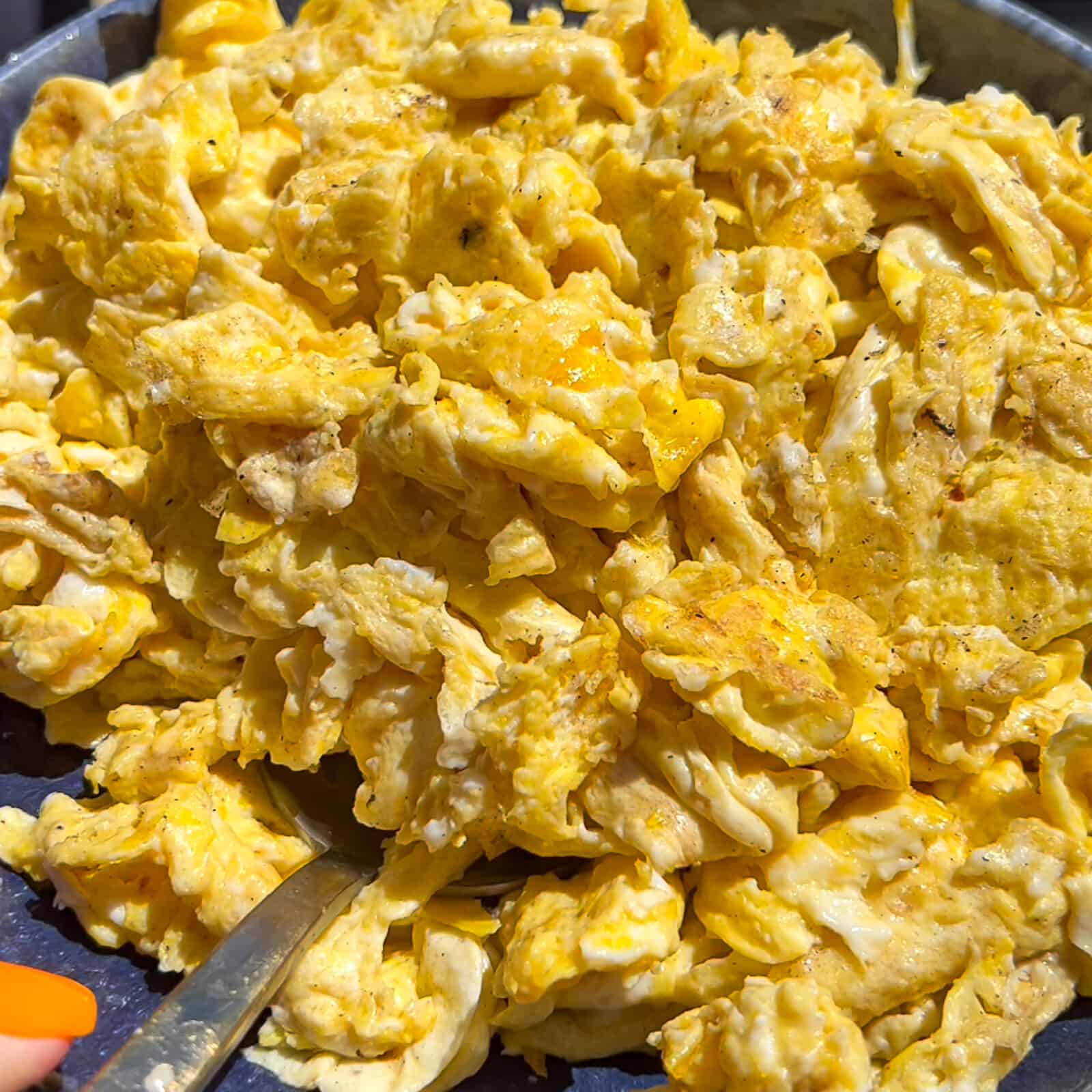 Perfect Scrambled Eggs  America's Test Kitchen Recipe