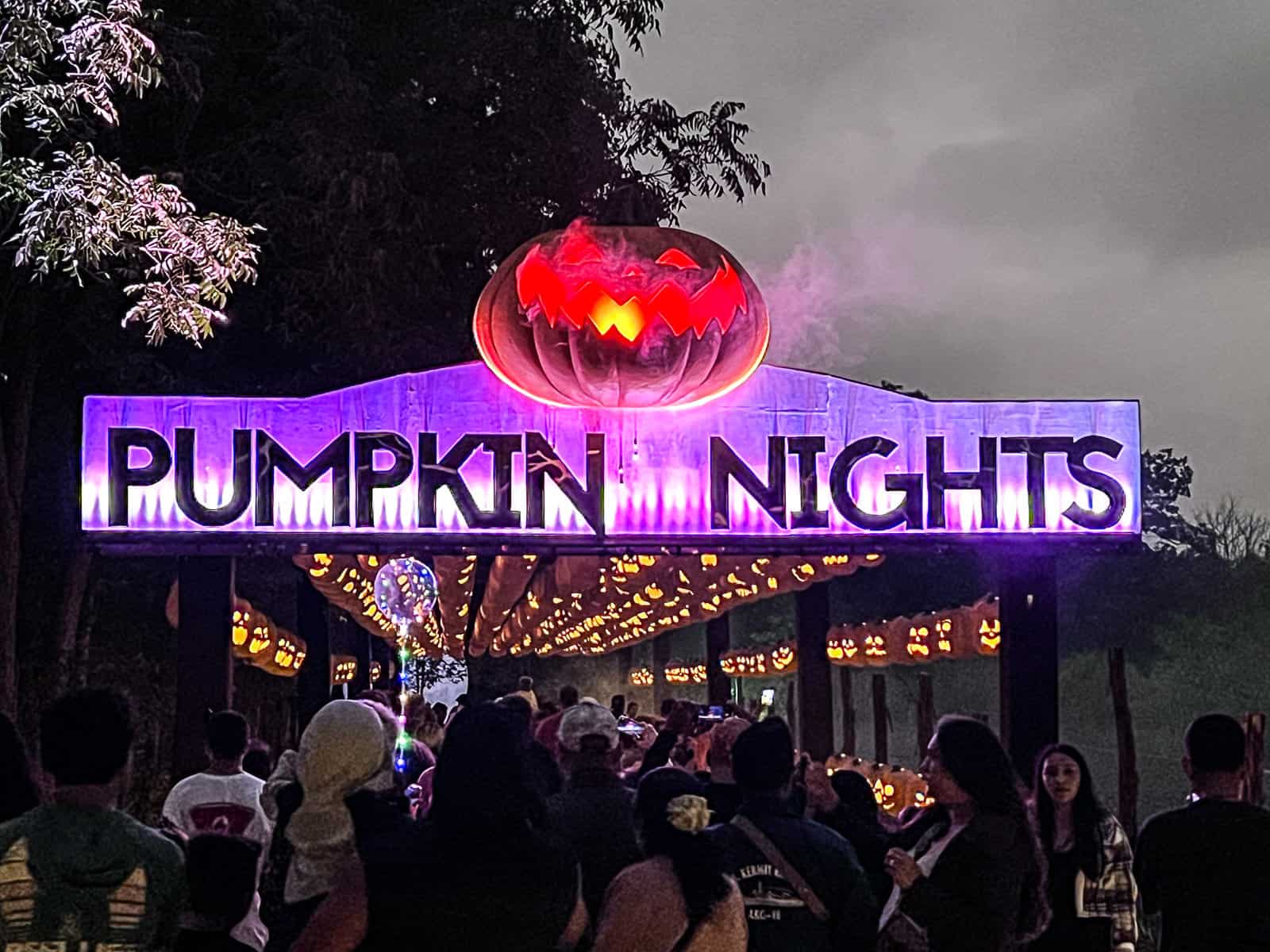 Pumpkin Nights in Austin Texas
