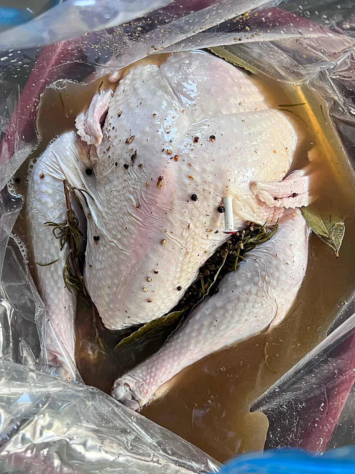 Closeup of Turkey Brining In A Bag