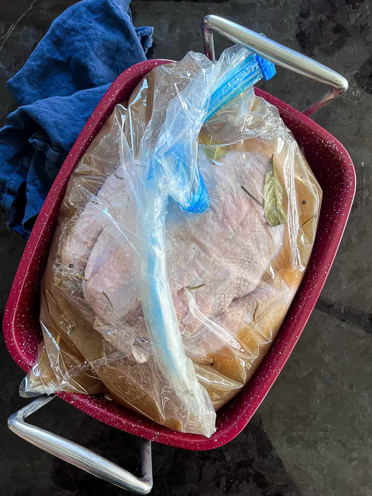 Fully Submerged Turkey Sealed Inside a Brining Bag