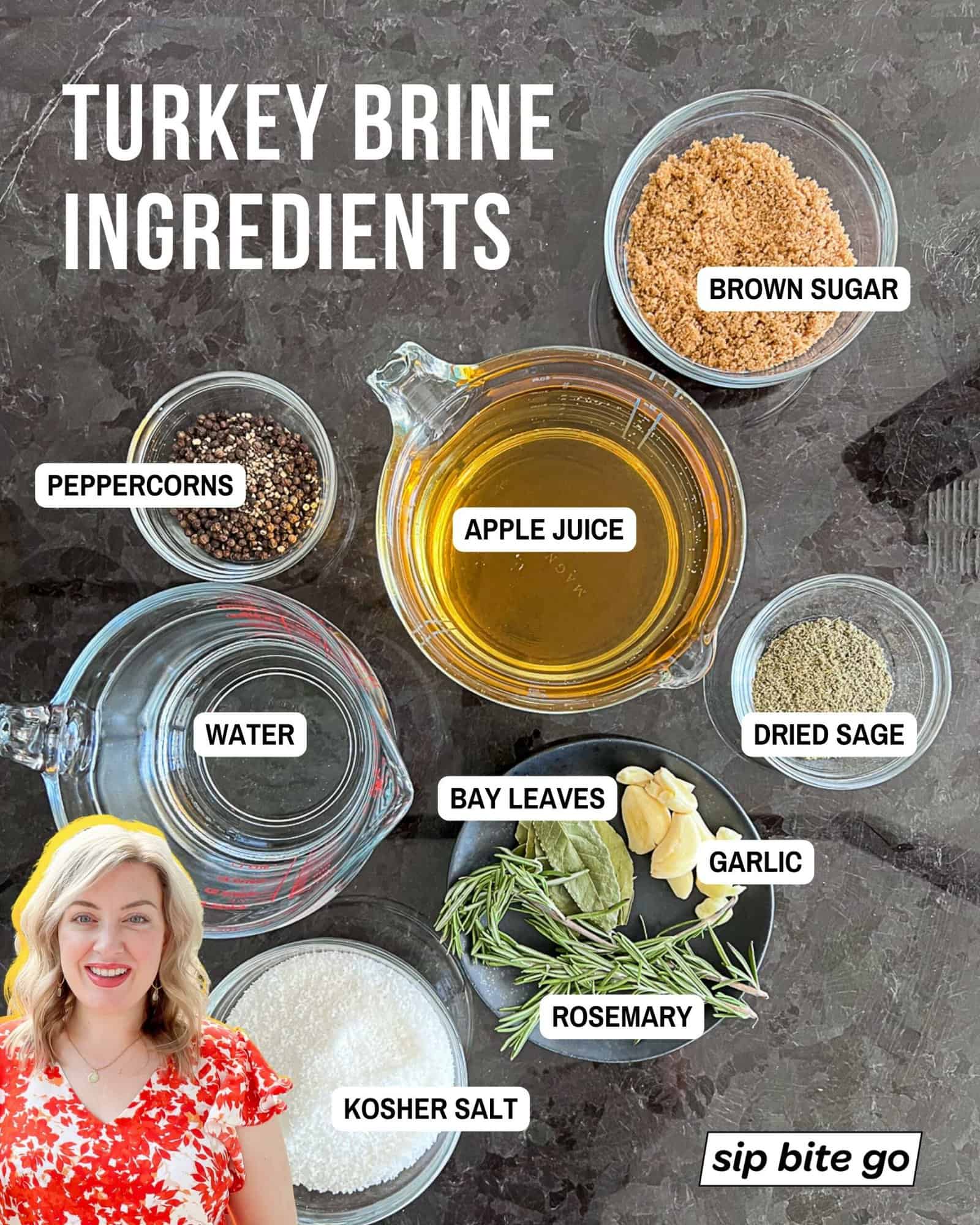 Infographic with list of ingredients for brining a turkey with Jenna Passaro and Sip Bite Go logo